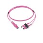 PATCH 2FO OM4 LCD/SCD VIOLA 2M (431342)