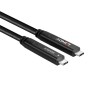 Lindy 43333 cavo USB 10 m USB 3.2 Gen 1 (3.1 Gen 1) USB C Nero (43333)