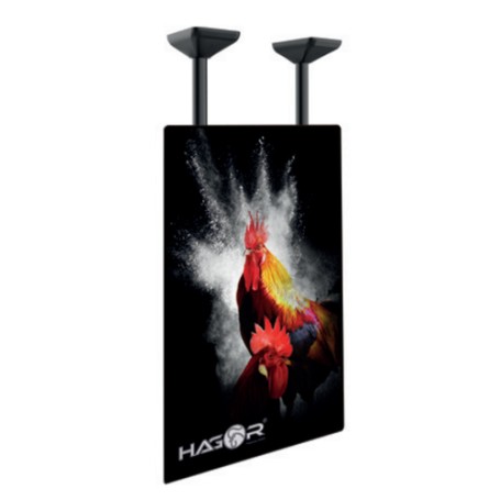 Hagor PLD Single HD Portrait 2,54 m (100") Nero (2701)