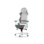 DXRacer AIR R1S-WQG Sedia per gaming universale Seduta in rete Grigio (AIR-R1S-WQG-BX1)