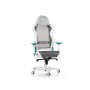 DXRacer AIR R1S-WQG Sedia per gaming universale Seduta in rete Grigio (AIR-R1S-WQG-BX1)