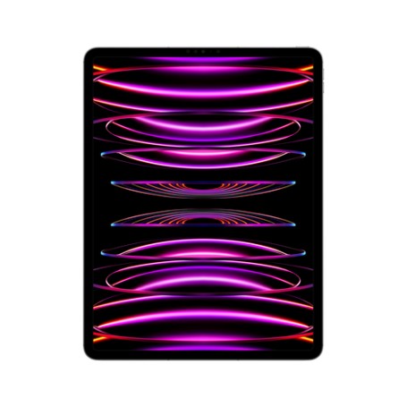 Apple iPad Pro 5G TD-LTE & FDD-LTE 2000 GB 32,8 cm (12.9") Apple M 16 GB Wi-Fi 6E (802.11ax) iPadOS 16 Grigio (MP263FD/A)