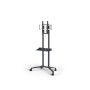 NEC PD04 190,5 cm (75") Grigio (100015738)