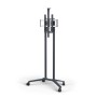 NEC PD04 190,5 cm (75") Grigio (100015738)