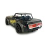 Amewi Panther Pro modellino radiocomandato (RC) Macchina a retrocarica Motore elettrico 1:16 (21089)