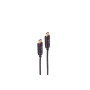 shiverpeaks BS30-16755 cavo DisplayPort 100 m Nero (BS30-16755)