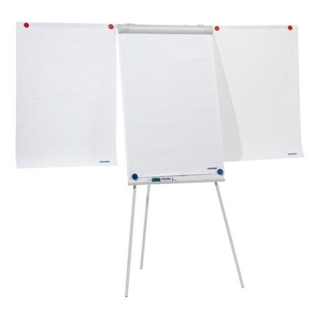 Franken F2100/N blocco per lavagne e accessori Libera installazione 680 x 1050 mm Grigio (F2100/N)
