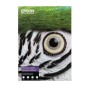 Epson C13S450282 carta da disegno Foglio d'arte 25 fogli (C13S450282)