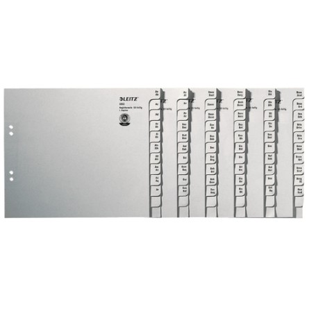 Leitz 13500085 divisore Carta Grigio (1350-00-85)