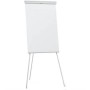 Franken EL-FC20 blocco per lavagne e accessori Libera installazione 680 x 1050 mm Grigio chiaro (EL-FC20)