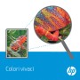 HP Color LaserJet Imaging Drum C9704A (C9704A)