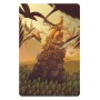 Asmodee Harmonies Gioco da tavolo Famiglia (LIB0006)