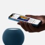 Apple HomePod mini (MJ2E3D/A)