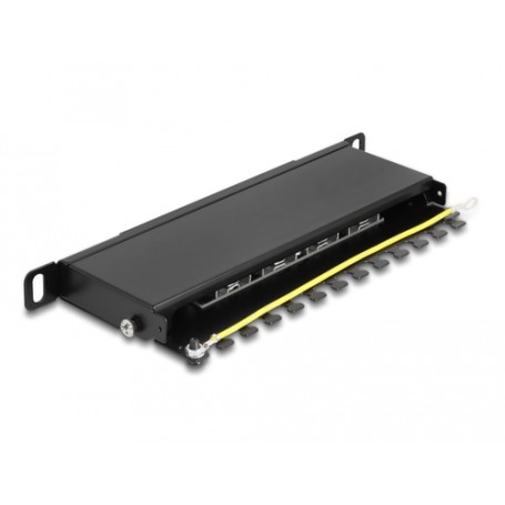 DeLOCK 66870 pezzo di pannello 0.5U (66870)