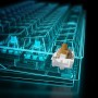 Sharkoon SKILLER SGK50 S4 tastiera USB QWERTZ Tedesco Nero (4044951033768)