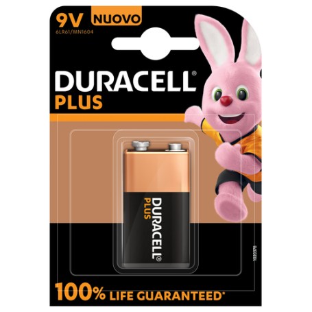 Duracell Plus 100 Batteria monouso Alcalino (142190)