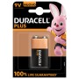 Duracell Plus 100 Batteria monouso Alcalino (142190)