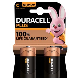 Duracell Plus 100 C Batteria monouso Alcalino (141827)