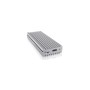 ICY BOX IB-1817MA-C31 Box esterno SSD Argento M.2 (60612)