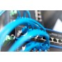 Digitus DN-650106 switch di rete Non gestito L2 Fast Ethernet (10/100) Nero, Blu (DN-650106)