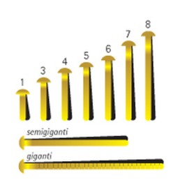 Molho Leone Cometa 1 fermacampioni 100 pz (51151)