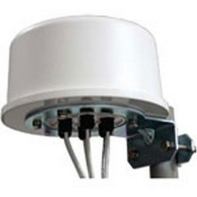 Zebra ML-2452-HPA6X6-036 antenna di rete Antenna omnidirezionale Tipo N 6 dBi (ML-2452-HPA6X6-036)