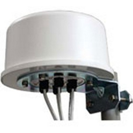 Zebra ML-2452-HPA6X6-036 antenna di rete Antenna omnidirezionale Tipo N 6 dBi (ML-2452-HPA6X6-036)