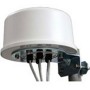 Zebra ML-2452-HPA6X6-036 antenna di rete Antenna omnidirezionale Tipo N 6 dBi (ML-2452-HPA6X6-036)