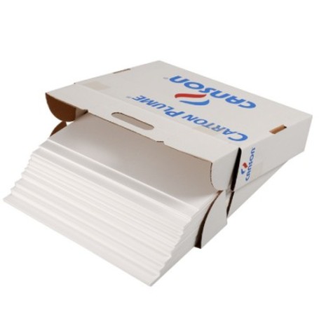 Canson 205154222 cartone 28 fogli (C205154222)