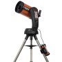 Celestron PowerTank batteria portatile Litio Ferro Fosfato (LiFePo4) Nero, Arancione (CE18771)