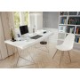 Leitz 53621036 scatola per la conservazione di documenti Poliestere Blu, Bianco (53621036)