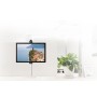 Neomounts by Newstar Supporto da scrivania per monitor (FPMA-CH100BLACK)