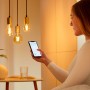 WiZ 8719514551077 soluzione di illuminazione intelligente Lampadina intelligente 7 W Oro Wi-Fi (871951455107701)
