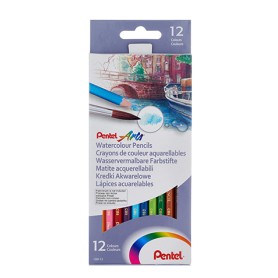 Pentel CB9-12U pastello colorato 12 pz (CB9-12U)