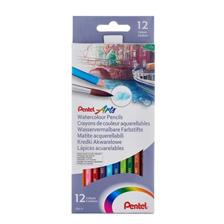 Pentel CB9-12U pastello colorato 12 pz (CB9-12U)