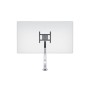 Multibrackets 7130 supporto da tavolo per Tv a schermo piatto 124,5 cm (49") Morsa Argento (MB7130)