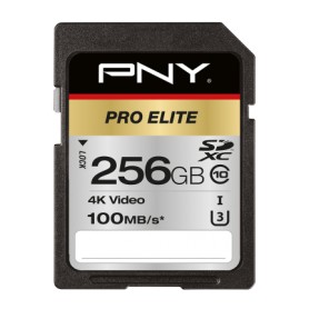 PNY PRO Elite 256 GB SDXC UHS-I Classe 10 (P-SD256U3100PRO-GE)
