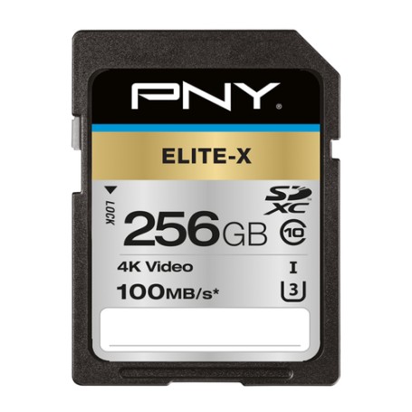 PNY Elite-X 256 GB SDXC UHS-I Classe 10 (P-SD256U3100EX-GE)