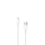 Apple iPod touch 32GB Lettore MP4 Grigio (MVHW2BT/A)
