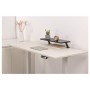 StarTech.com Alzata per monitor - Montaggio su scrivania - Ampia larghezza di 65 cm (MNRISERCLMP)