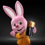 Duracell Plus C (DU0300)