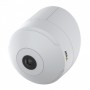 Axis TM3001 Monte (01748-001)