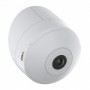 Axis TM3001 Monte (01748-001)