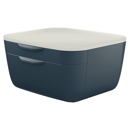 Leitz 53570089 vassoio da scrivania Polistirene (PS) Nero, Bianco (53570089)