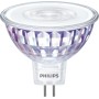Philips Faretto (929001905055)