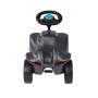 BIG 800056243 gioco cavalcabile (800056243)