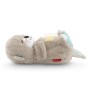 Fisher-Price FXC66 peluche (FXC66)