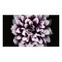 Samsung LH012IWJMWS Pannello piatto per segnaletica digitale 3,2 cm (1.26") LED Nero Tizen (LH012IWJMWS/XU)