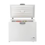 Beko HS22340 frigorifero e congelatore commerciali Libera installazione D (HS22340)