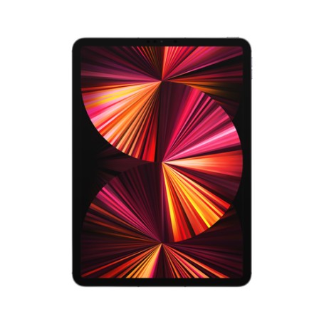 Apple iPad Pro 11" con Chip M1 (terza gen.) Wi-Fi + Cellular 2TB - Grigio siderale (MHWE3TY/A)